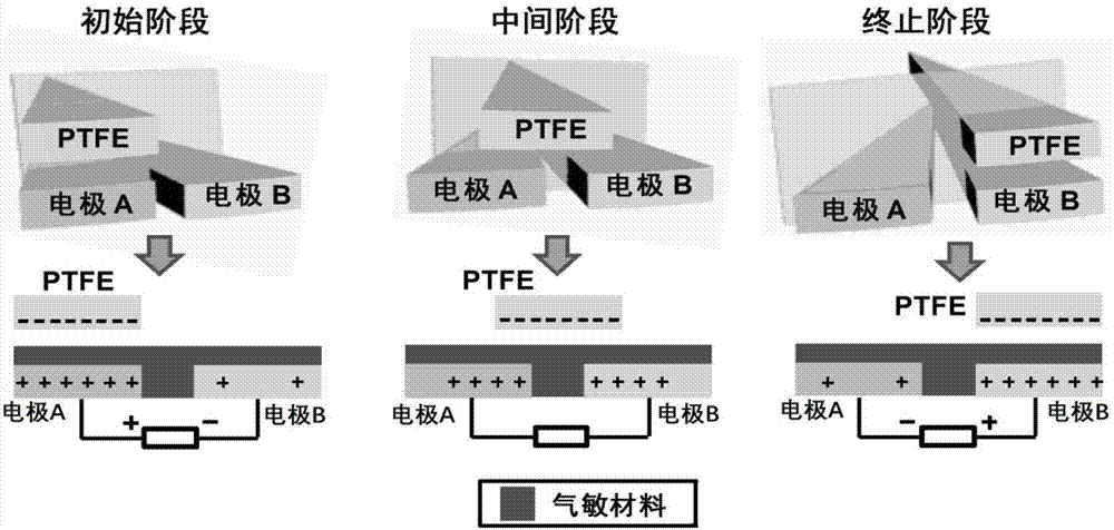 Self-powered gas sensor based on asymmetricelectrostatic shielding effect and preparation method of self-powered gas sensor