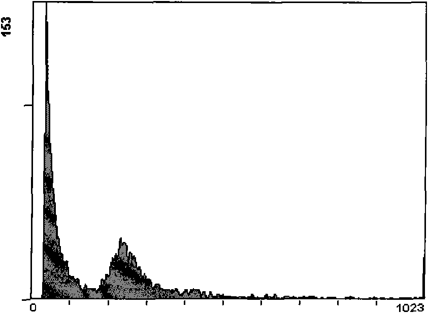 Method for extracting nucleuses of mature leaves of fruit trees suitable for flow cytometry analysis