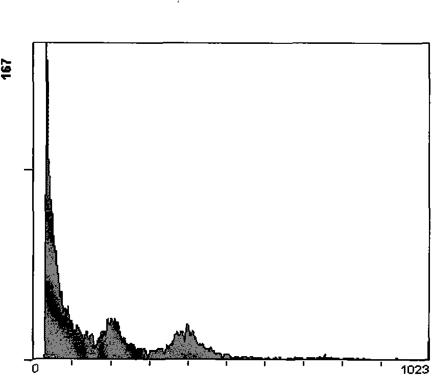 Method for extracting nucleuses of mature leaves of fruit trees suitable for flow cytometry analysis