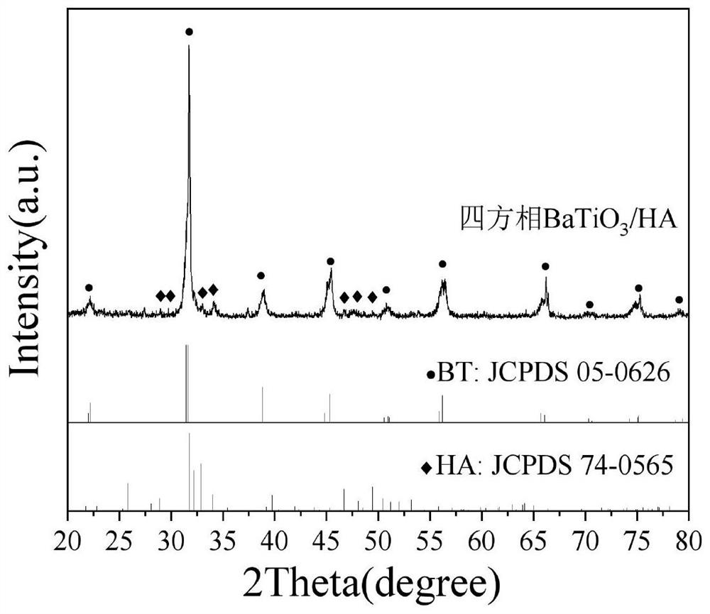 Method for preparing tetragonal BaTiO3/HA composite nanoparticles by liquid-phase rotary evaporation method