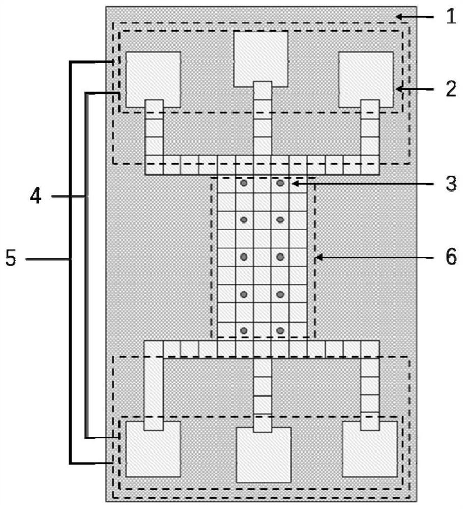 Full-automatic single cell capture chip based on digital microfluidic technology and application of full-automatic single cell capture chip