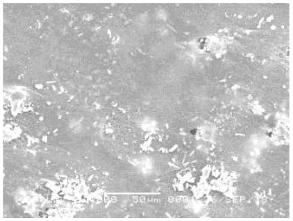 A slow-release antibacterial artificial dermis model and its construction method