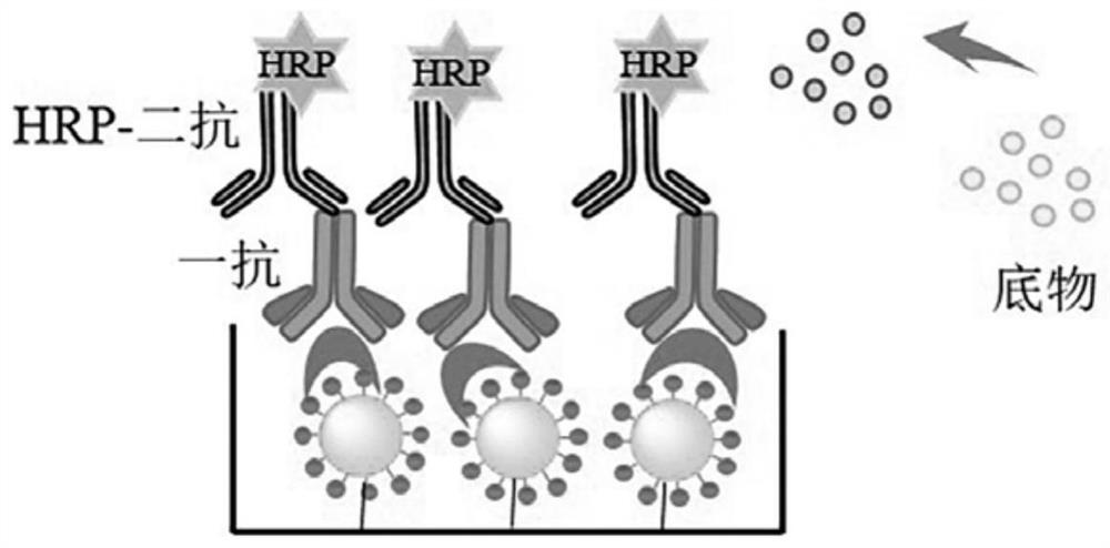 A method for detecting human soluble asialoglycoprotein receptor