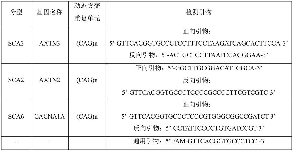 Kit, method and device for detecting dynamic mutation of spinal cerebellar ataxia