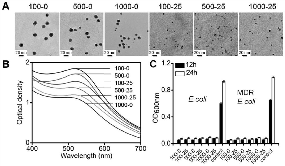 Functional antibacterial combined medicine and application