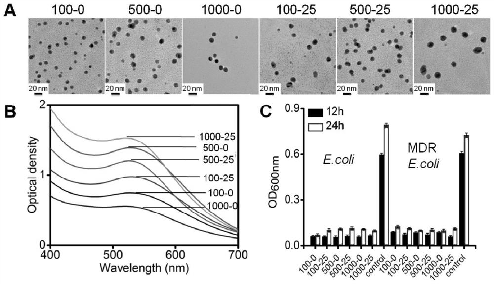 Functional antibacterial combined medicine and application