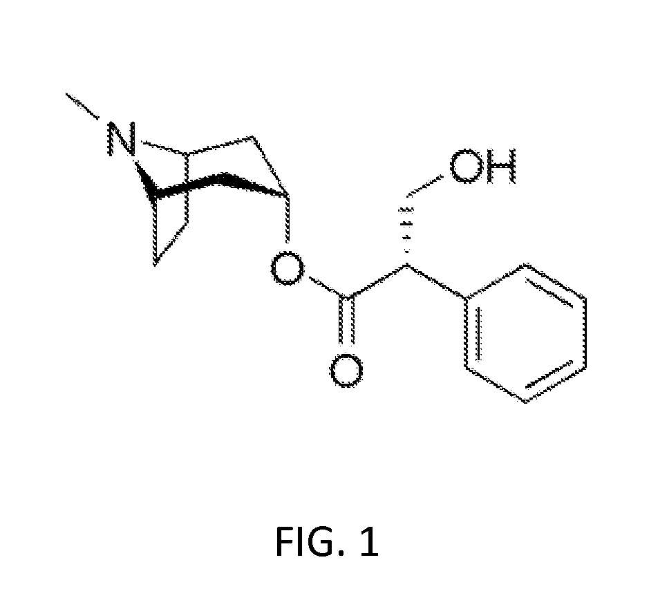 Stable orally disintegrating tablets of hyoscyamine