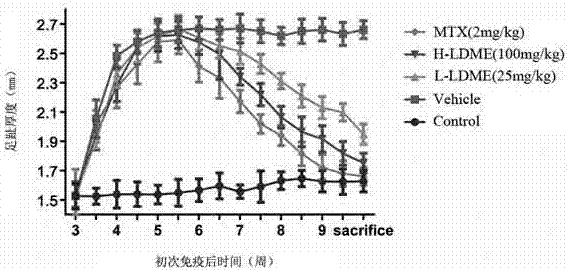 Application of levodopa methyl ester hydrochloride in the preparation of drugs for preventing and treating rheumatoid arthritis