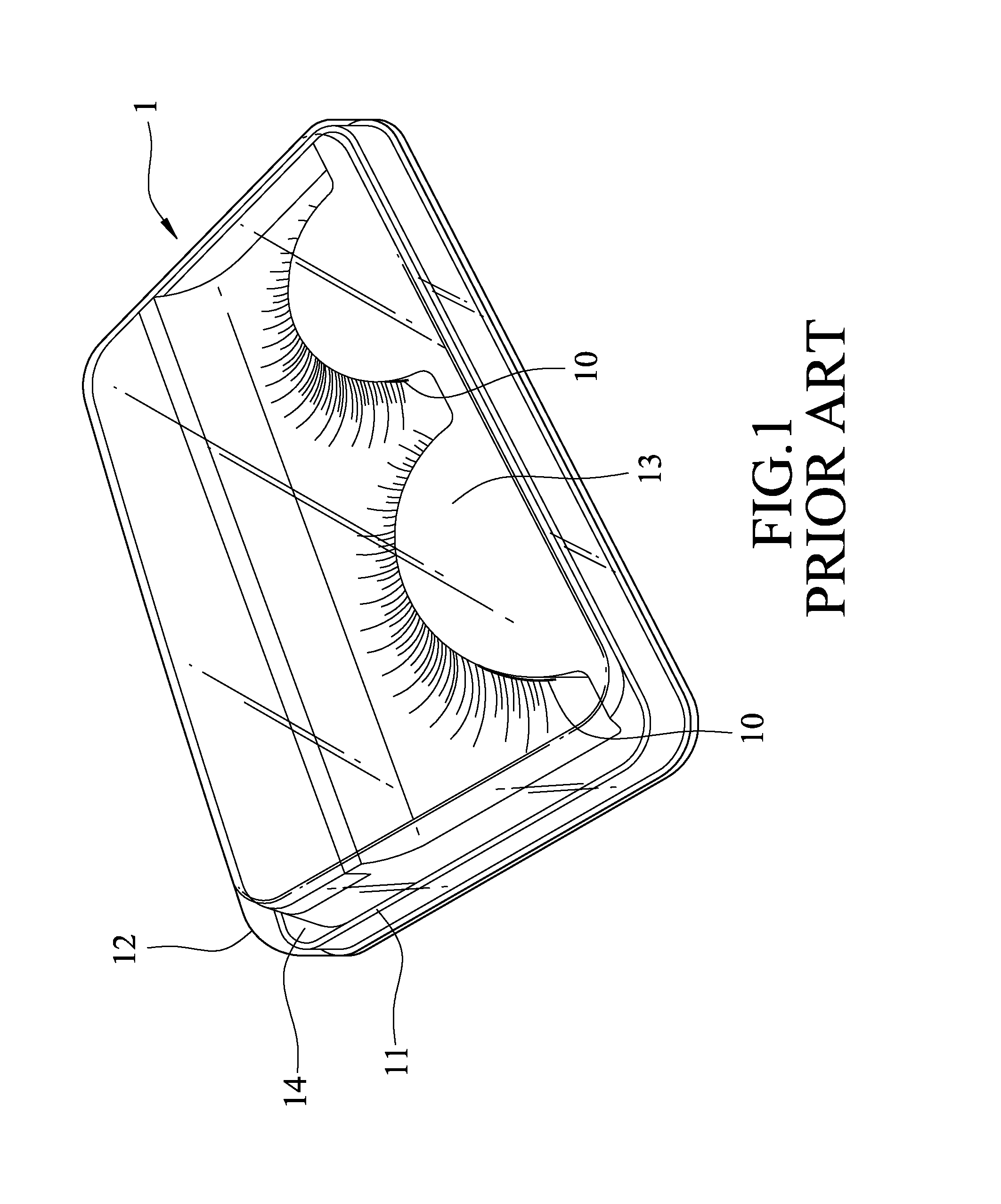 Eyelash Case Having Transparent Eyelash-Receiving Portion