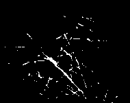 A kind of antibacterial enhanced water-based paint additive and preparation method thereof