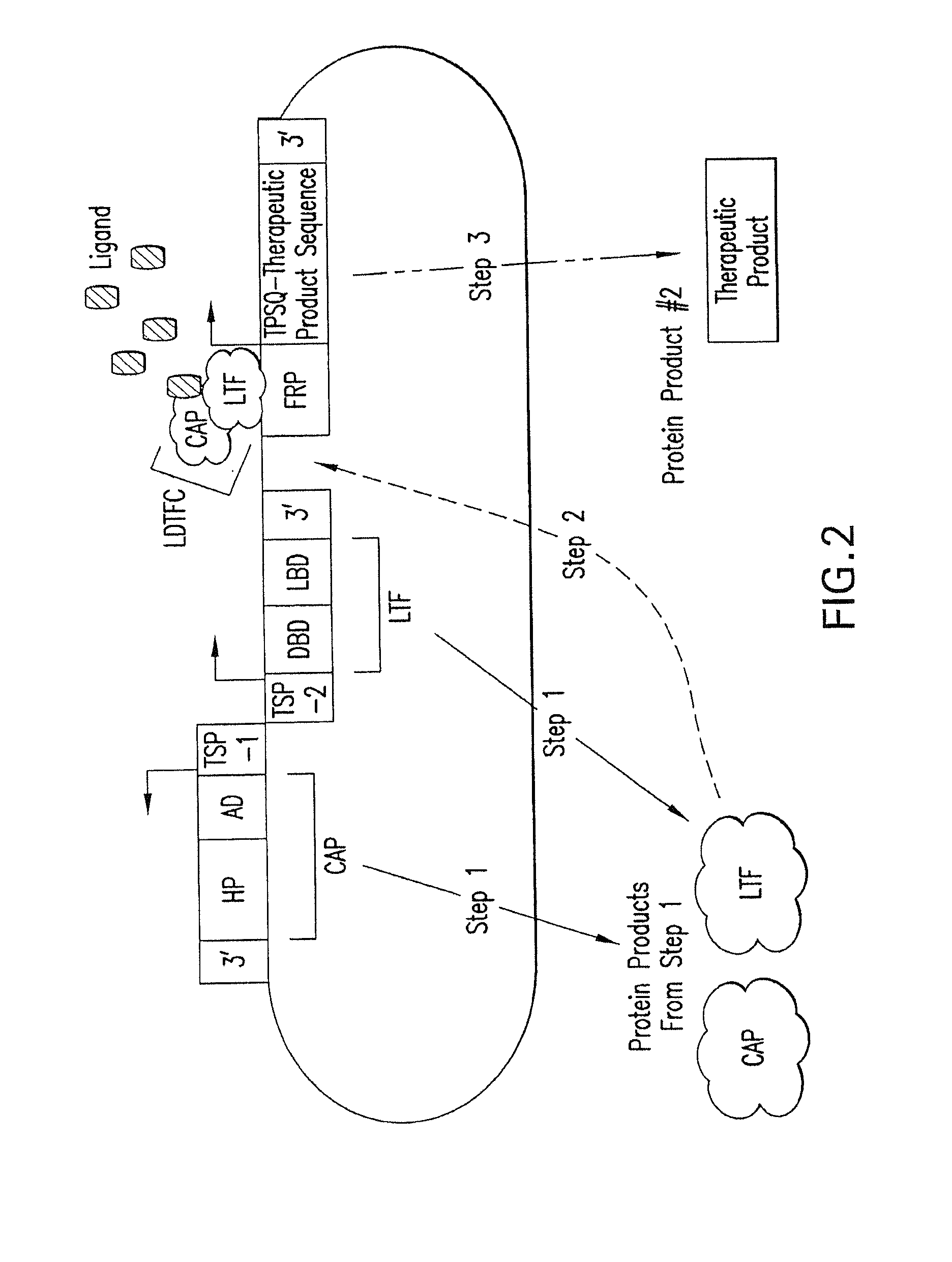 Therapeutic Gene-Switch Constructs and Bioreactors for the Expression of Biotherapeutic Molecules, and Uses Thereof