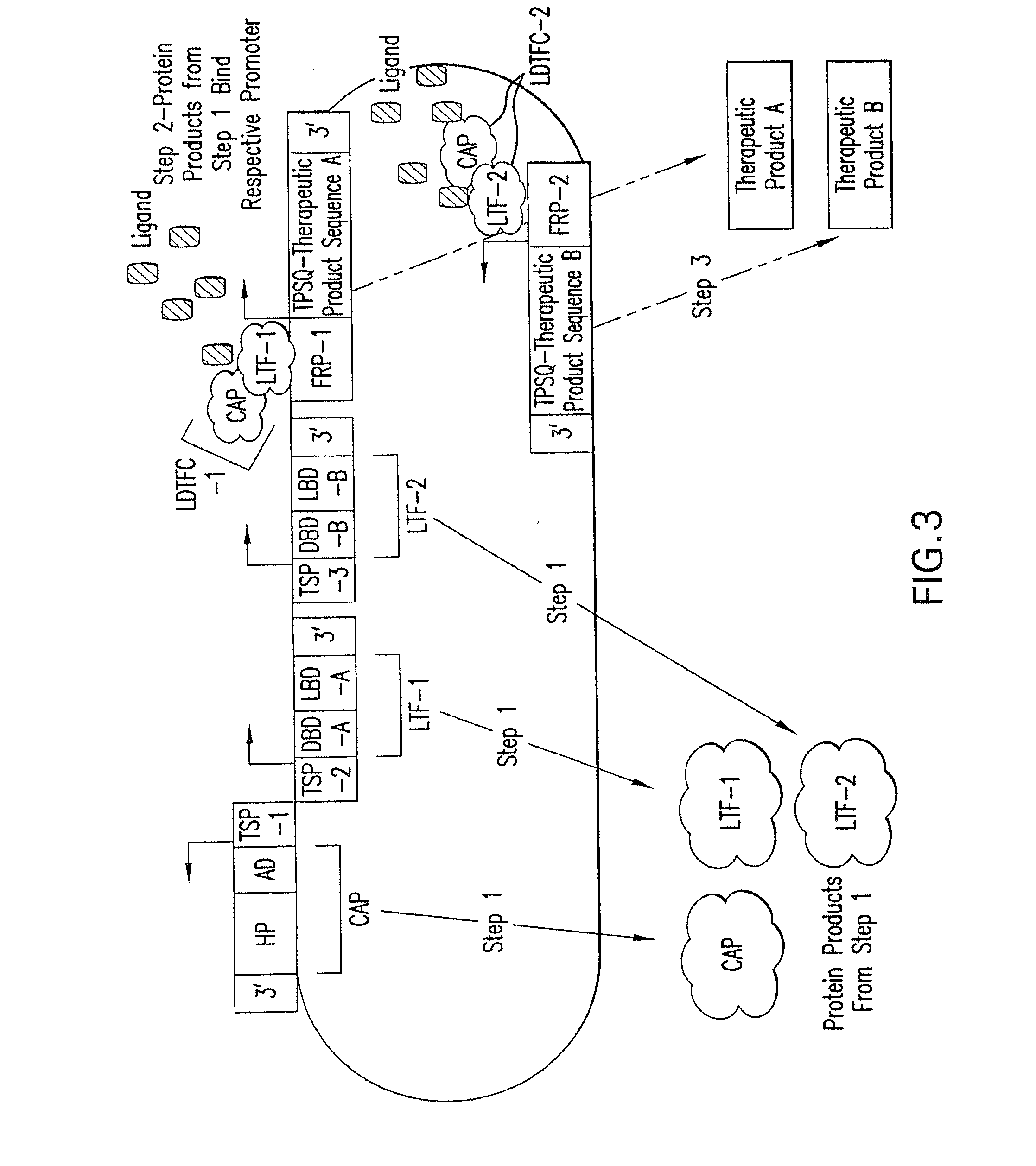 Therapeutic Gene-Switch Constructs and Bioreactors for the Expression of Biotherapeutic Molecules, and Uses Thereof