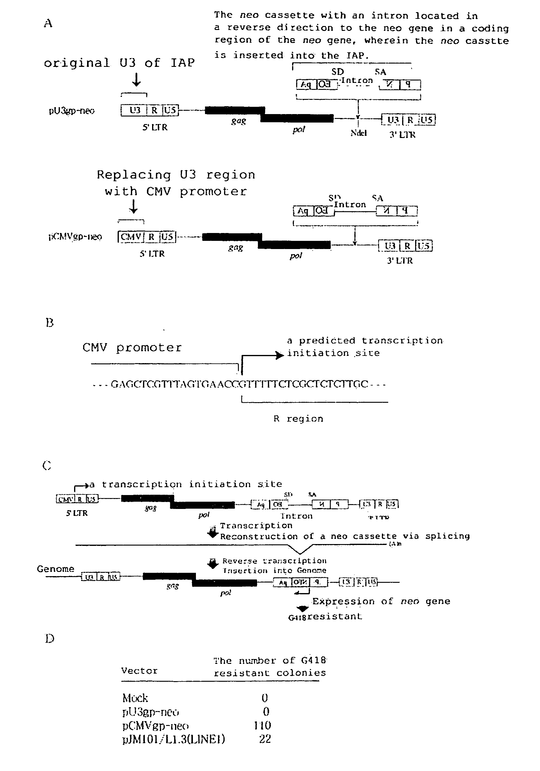 Development of Mammalian Genome Modification Technique Using Retrotransposon