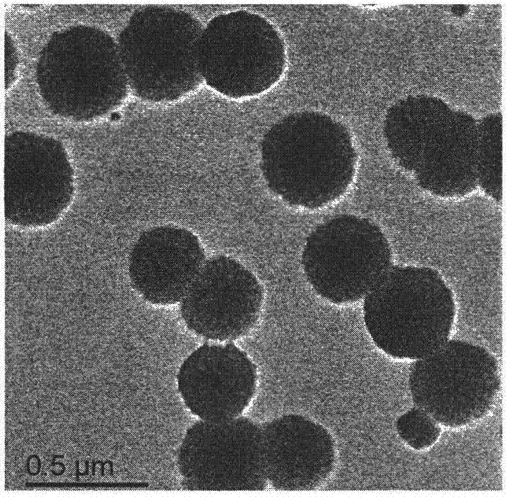 A preparation method of dopamine-modified hyaluronic acid micelles