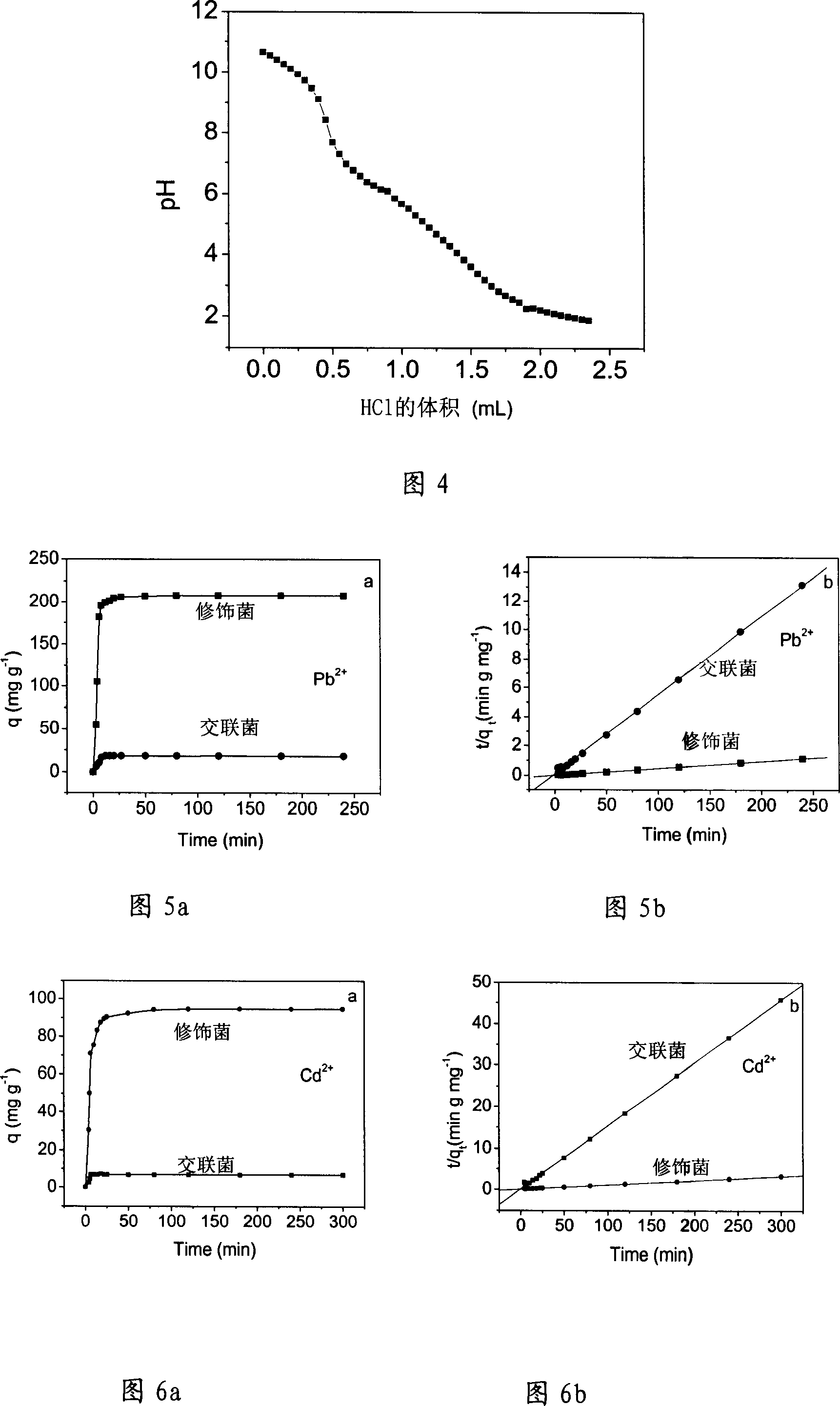 Polyamino acid chemical-modification bacterium and its preparation method and use