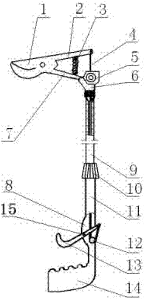 Pruning tool of plant