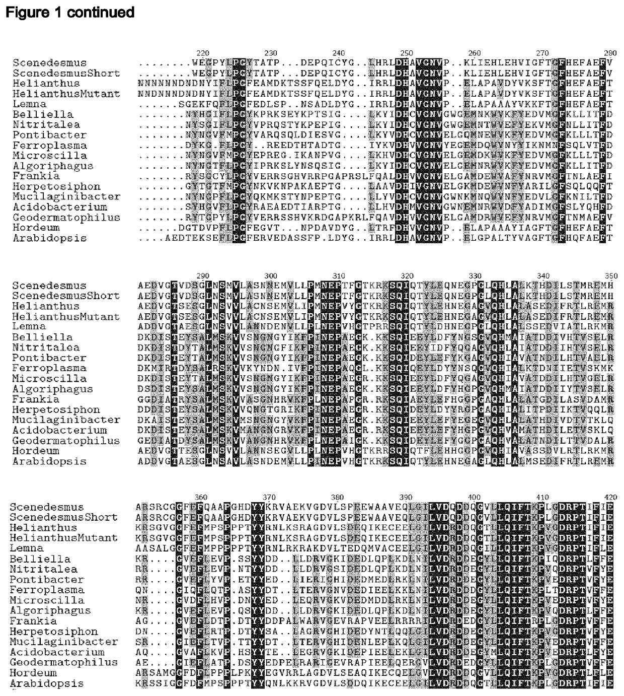 Herbicide-resistant hydroxyphenylpyruvate dioxygenases