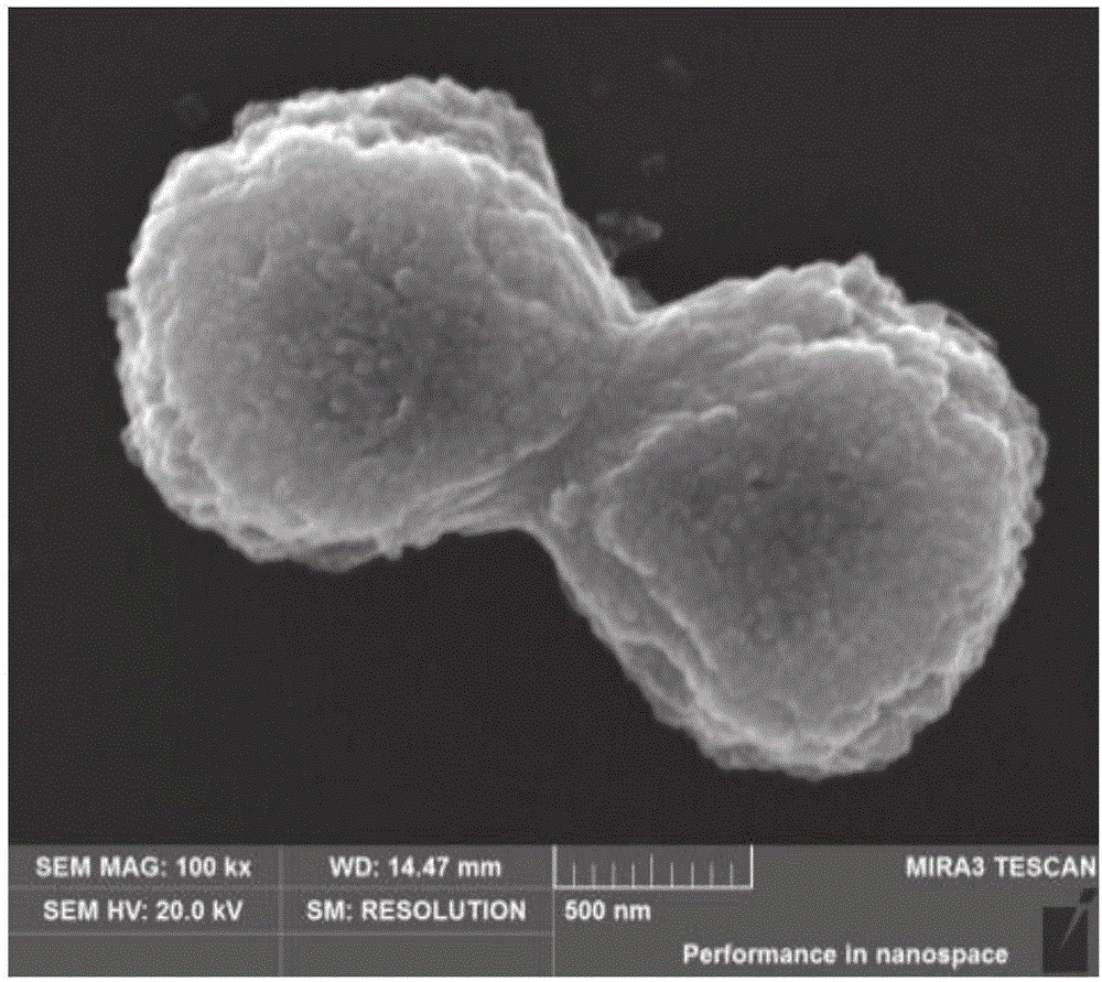 Method for preparing trimanganese tetroxide with micro-nanostructure