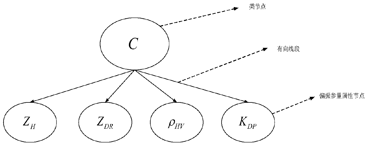 Dual-polarization meteorological radar precipitation particle classification method based on discrete attribute BNT