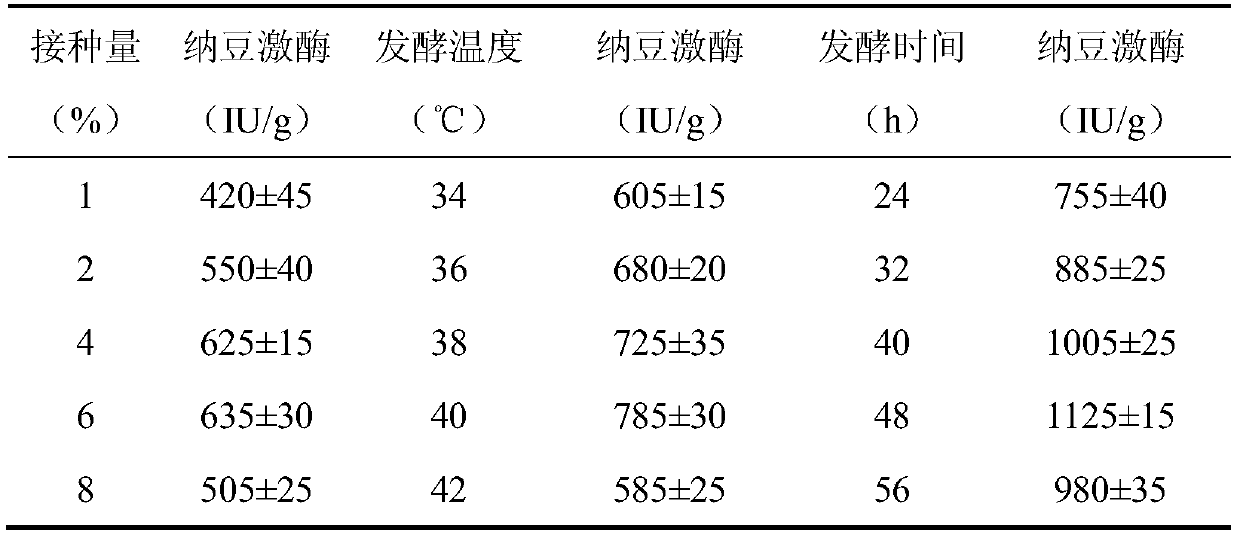 A kind of mixed strain fermented tea bag and preparation method thereof