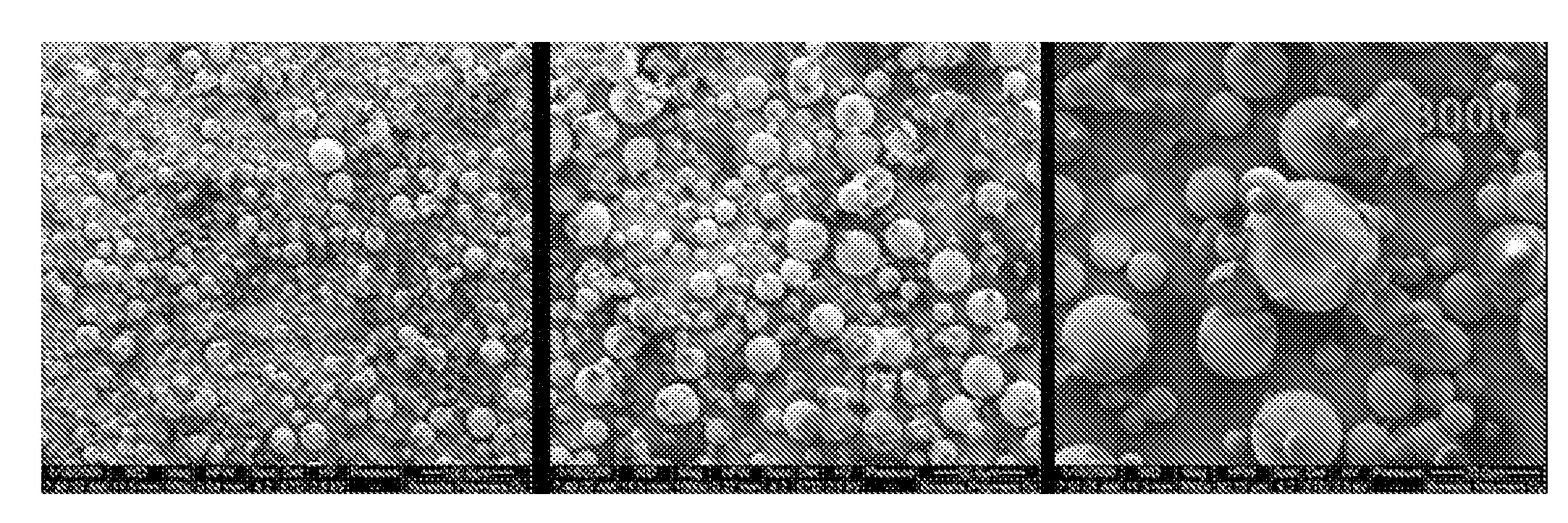 Process for the preparation of an unsupported, solid metallocene catalyst system and its use in polymerization of olefins