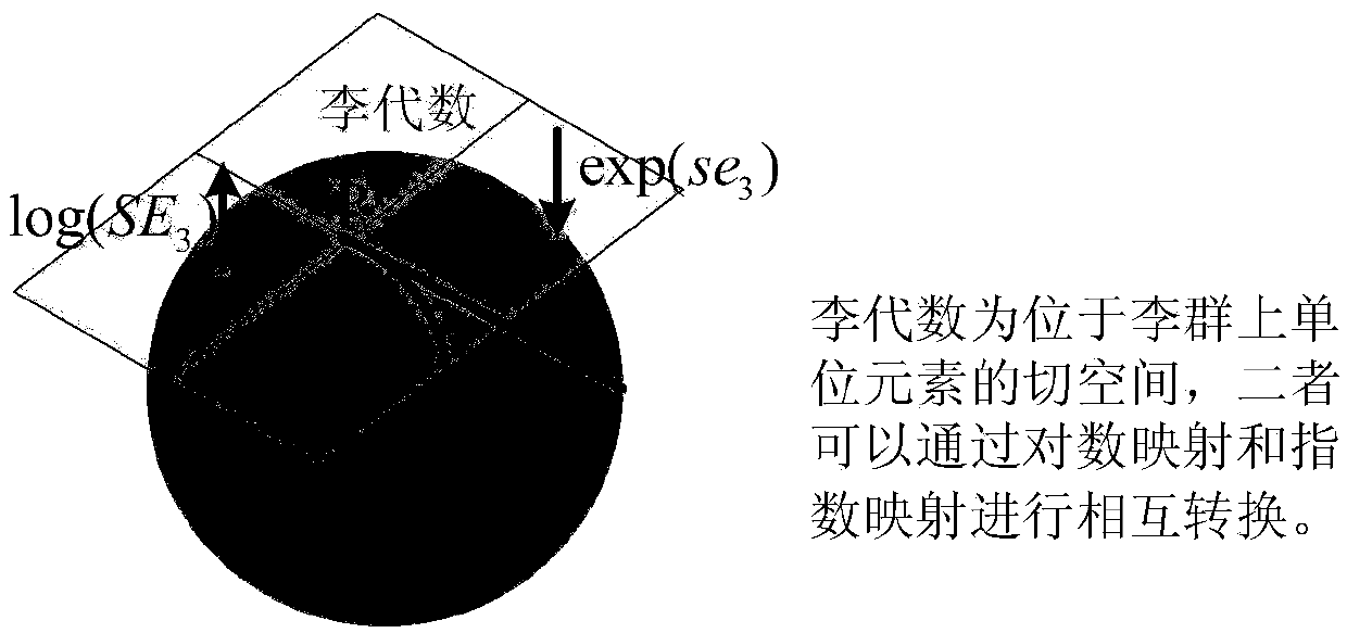 Human motion recognition method based on plum group characteristics and a convolutional neural network