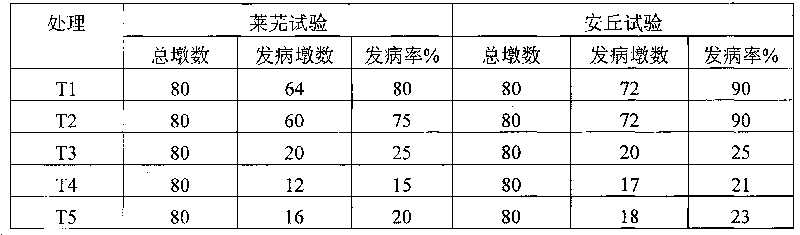 Special organic-inorganic compound fertilizer for preventing and controlling disease of ginger and preparation method thereof