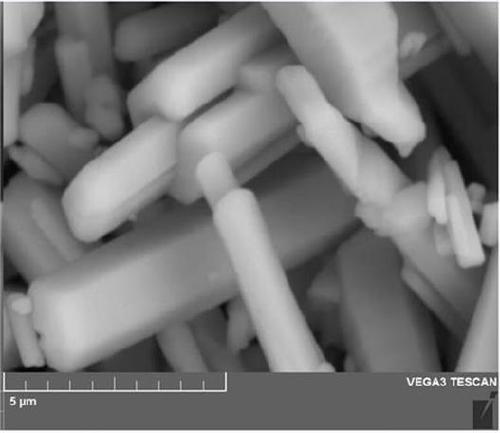 Magnetic ultra-soft X/gamma ray protective diaphragm material with decorative or directly printable function and preparation method of magnetic ultra-soft X/gamma ray protective diaphragm material