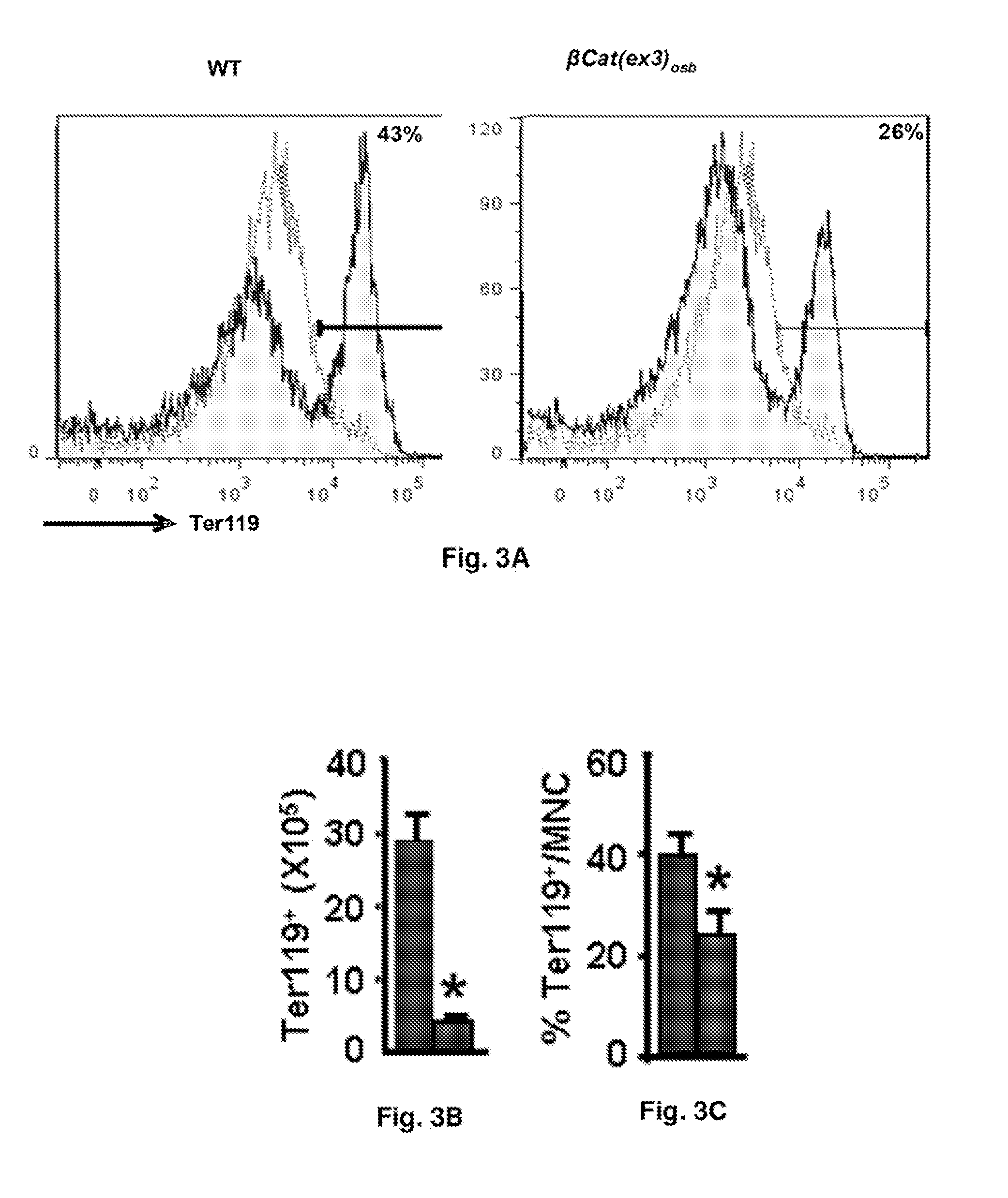 Methods of treating, preventing and diagnosing leukemia and other blood diseases and disorders