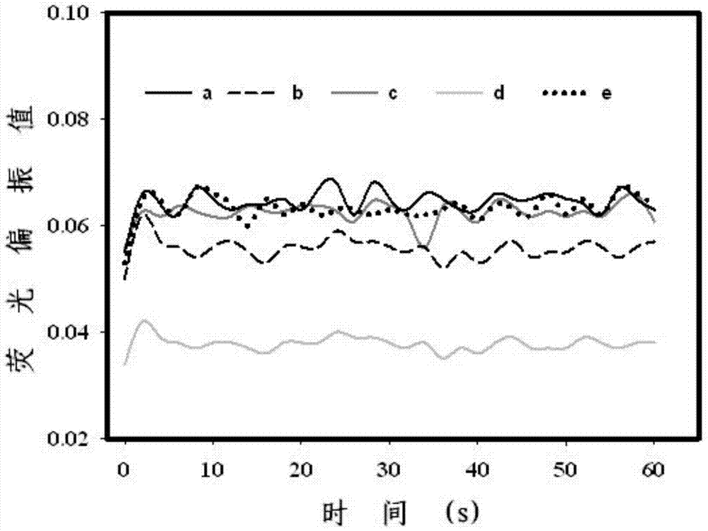 Rapid detection method of ochratoxin A by fluorescence polarization based on exonuclease I circular enzyme digestion and amplification