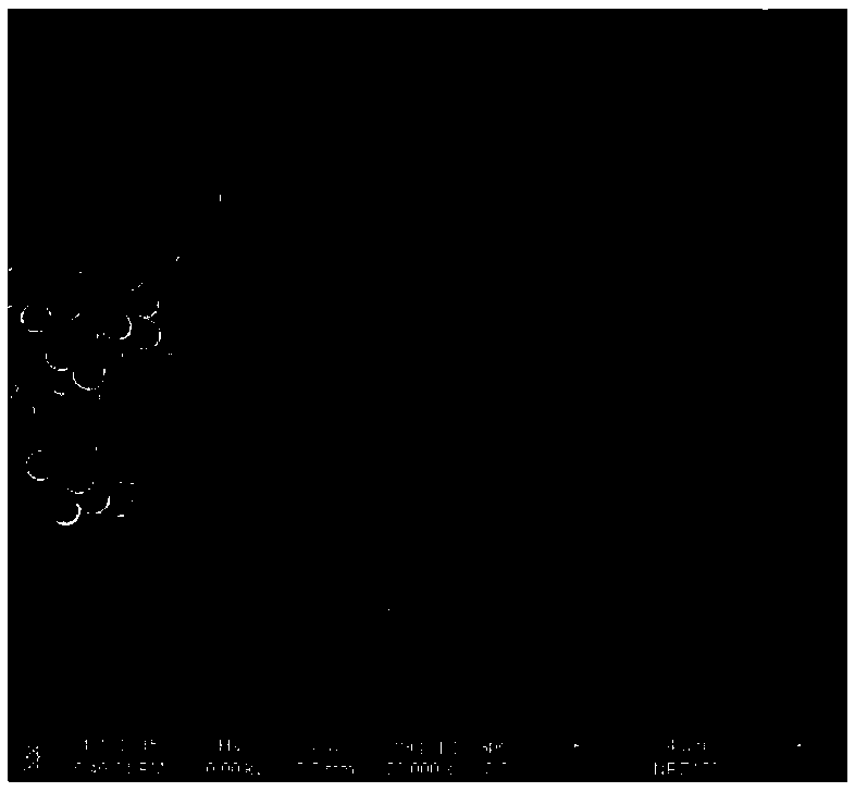 Heteroatom-doped carbon nanometer microsphere and preparation method thereof