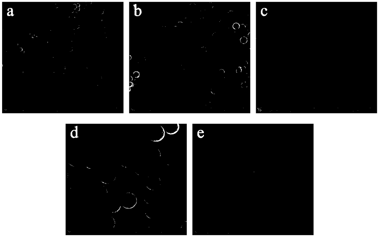 Heteroatom-doped carbon nanometer microsphere and preparation method thereof