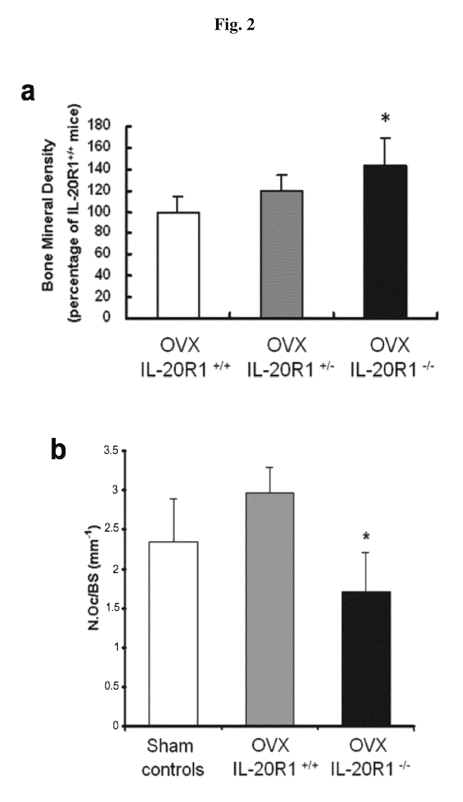 Methods for treating osteoporosis with anti-IL-20 receptor antibodies