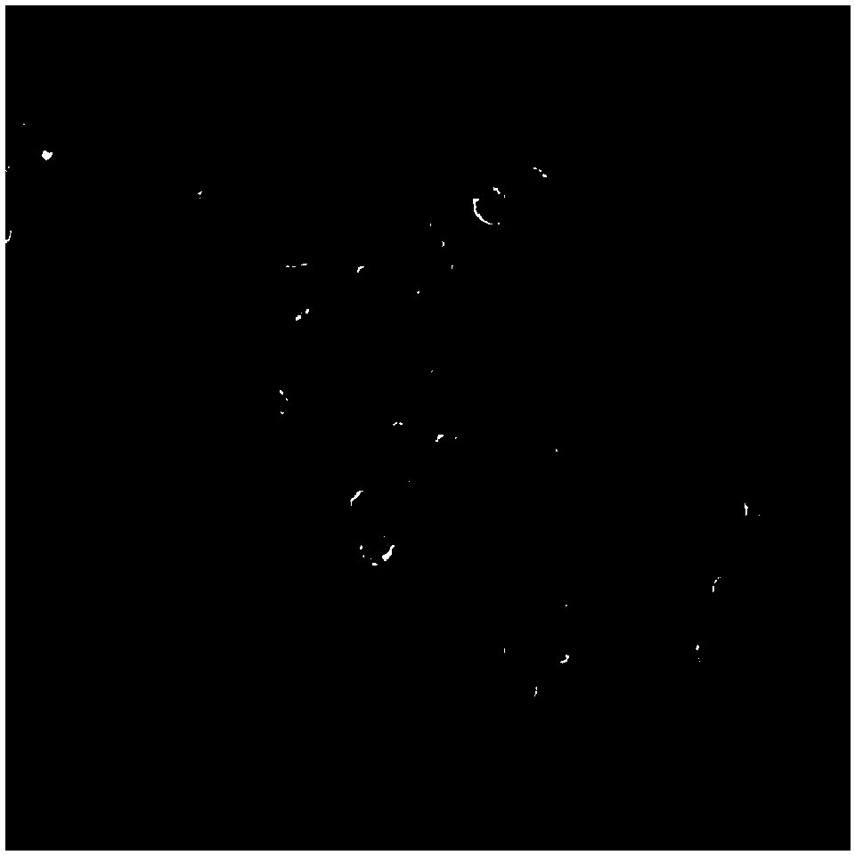 Method for expanding pancreatic beta cell in vitro