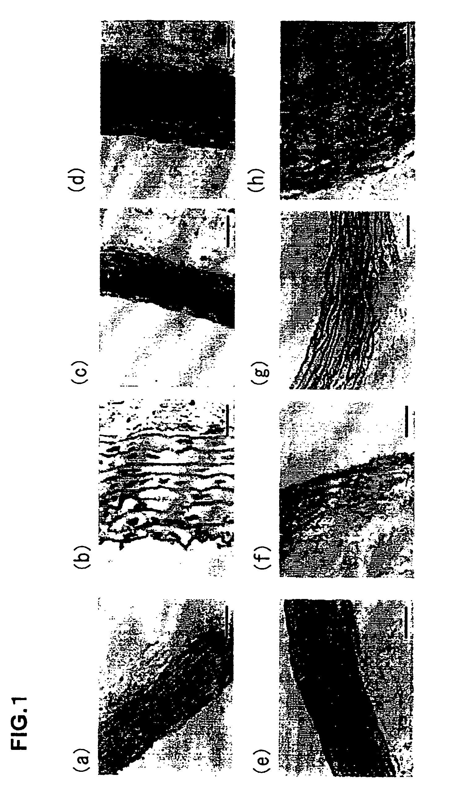 Decellularized tissue