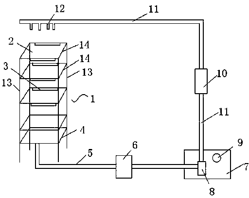 Nostoc alga superficial layer culture system and culture method