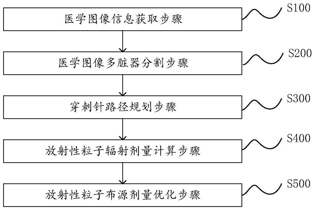 Radiotherapy dose planning method and system for implanting particles into tumor, and medium