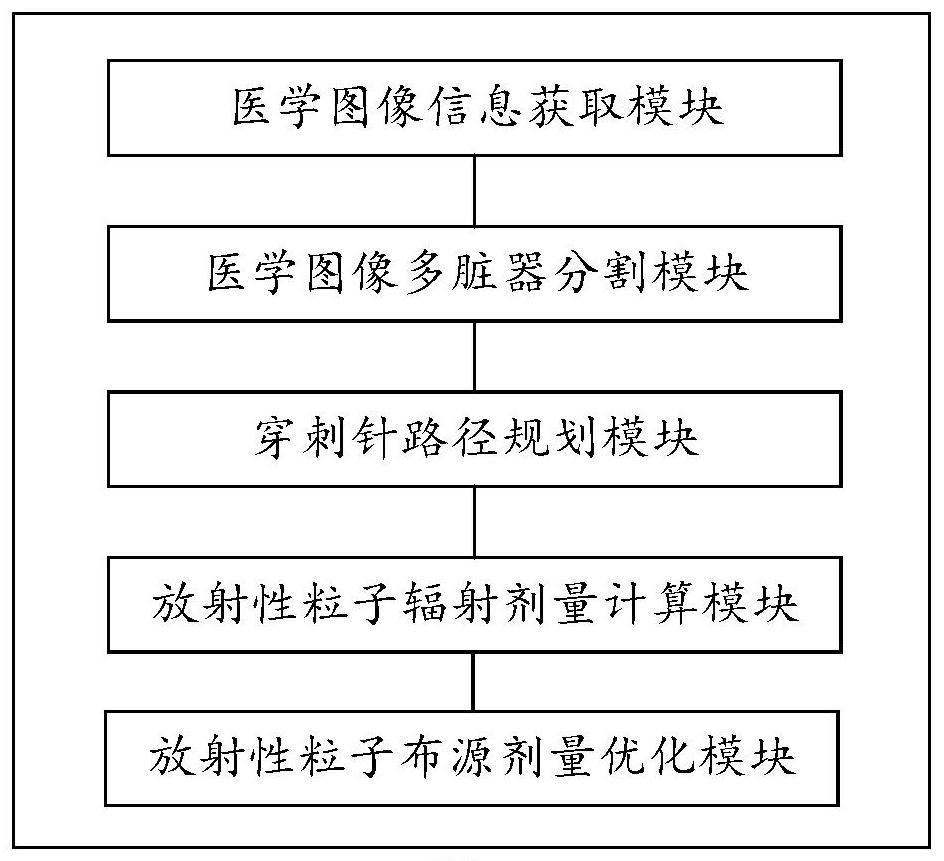 Radiotherapy dose planning method and system for implanting particles into tumor, and medium