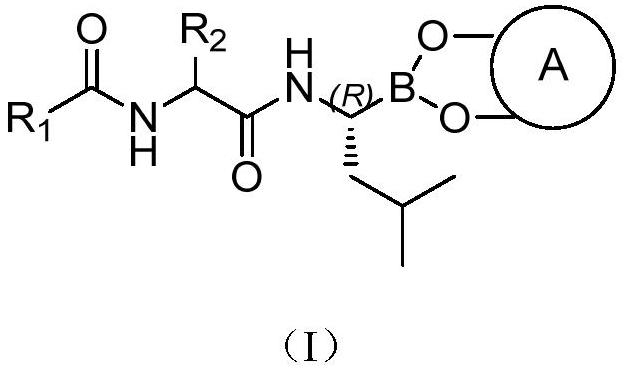 Borate compound and pharmaceutically acceptable salt thereof, and preparation method and application of boric acid ester compound and pharmaceutically acceptable salt thereof