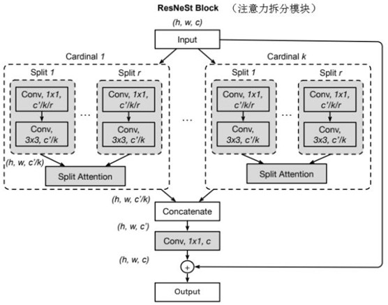 Colorectal polyp image recognition method, device and storage medium