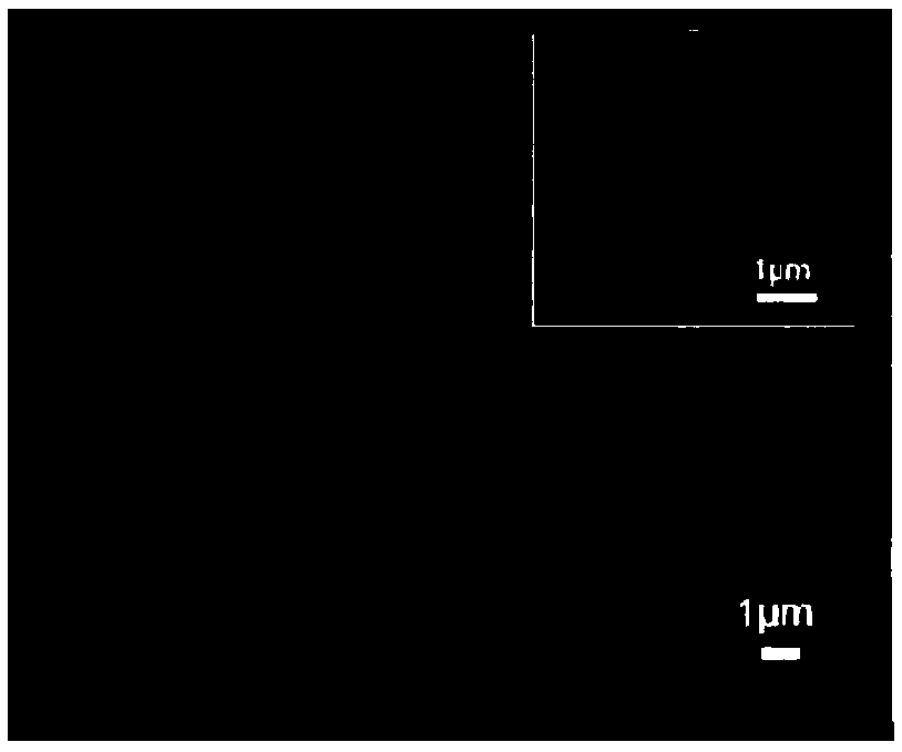 Preparation method of biodegradable oil and water separation porous film