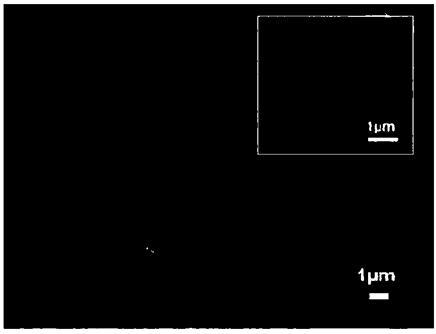 Preparation method of biodegradable oil and water separation porous film