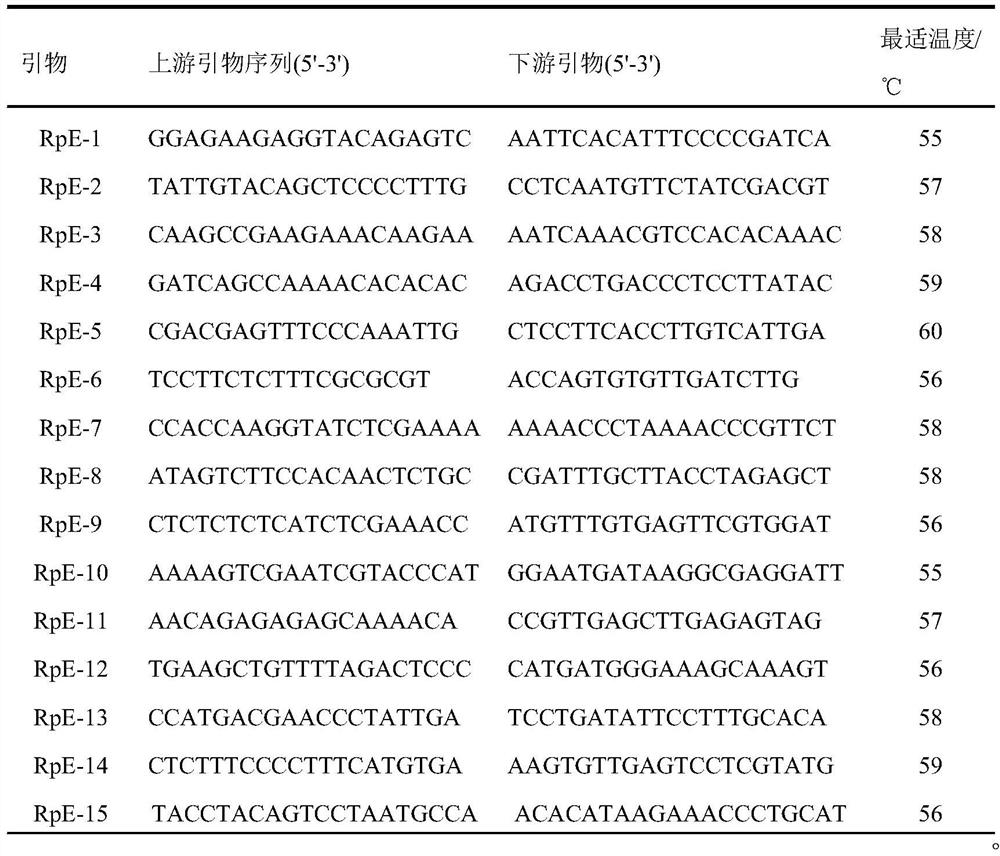 Development and application of est-ssr marker for Rhododendron splendid