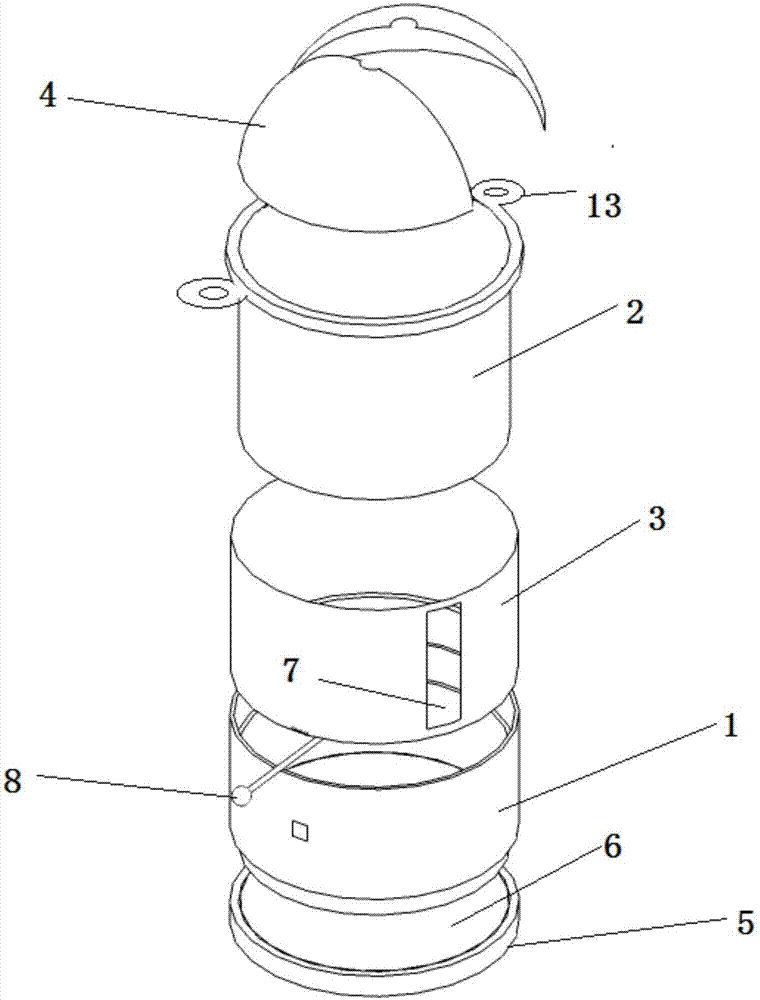 Kiwi fruit shaping device