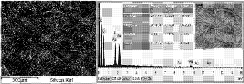 Synthesizing and finishing method of environment-friendly fluoride-free hydrophobic coating liquid