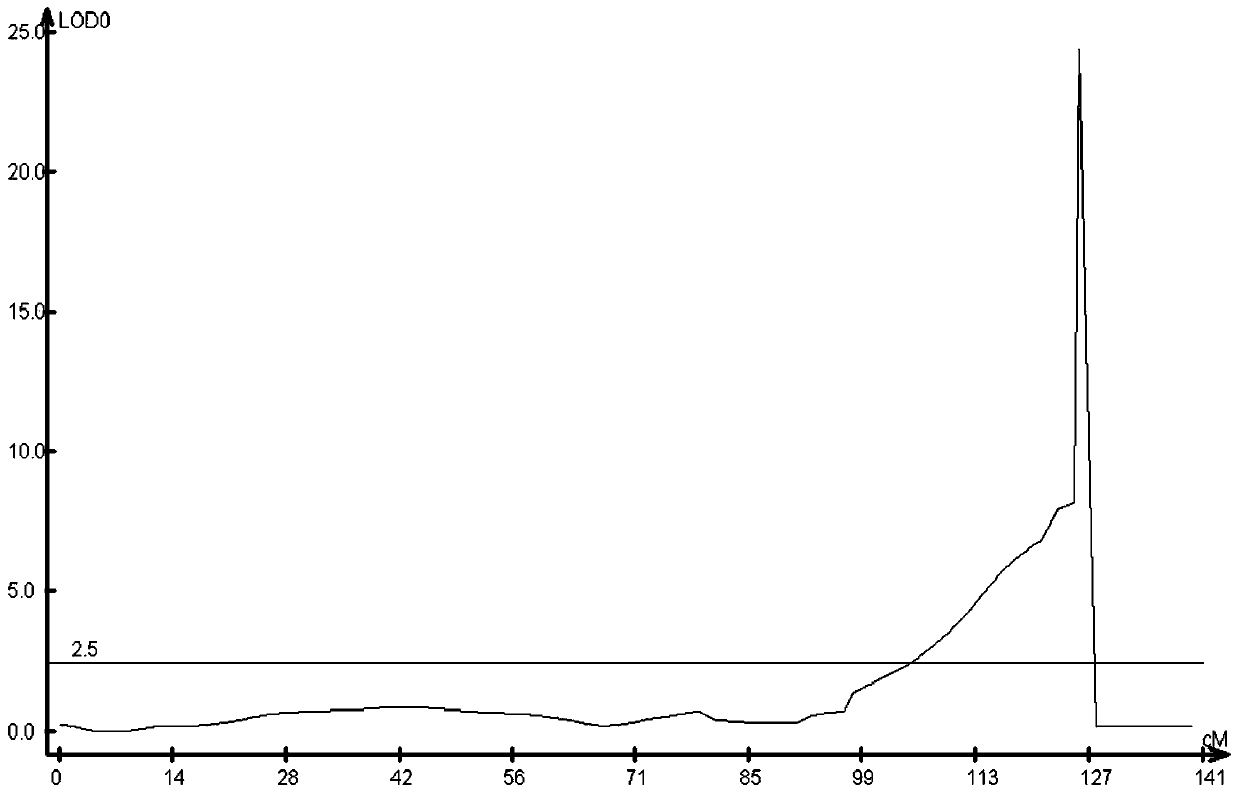 Soybean anti-rust gene locus and application thereof