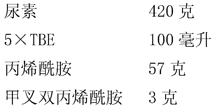 Soybean anti-rust gene locus and application thereof