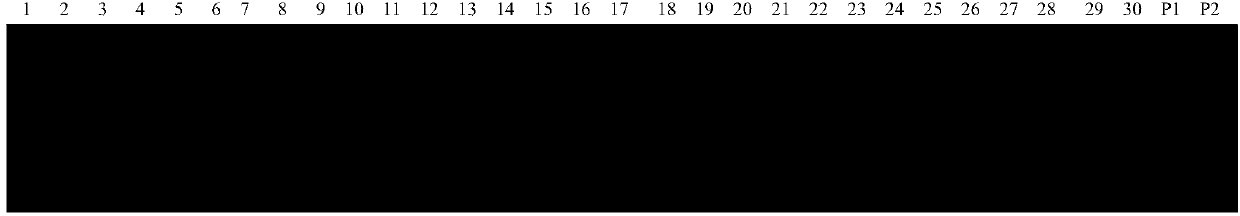 Soybean anti-rust gene locus and application thereof