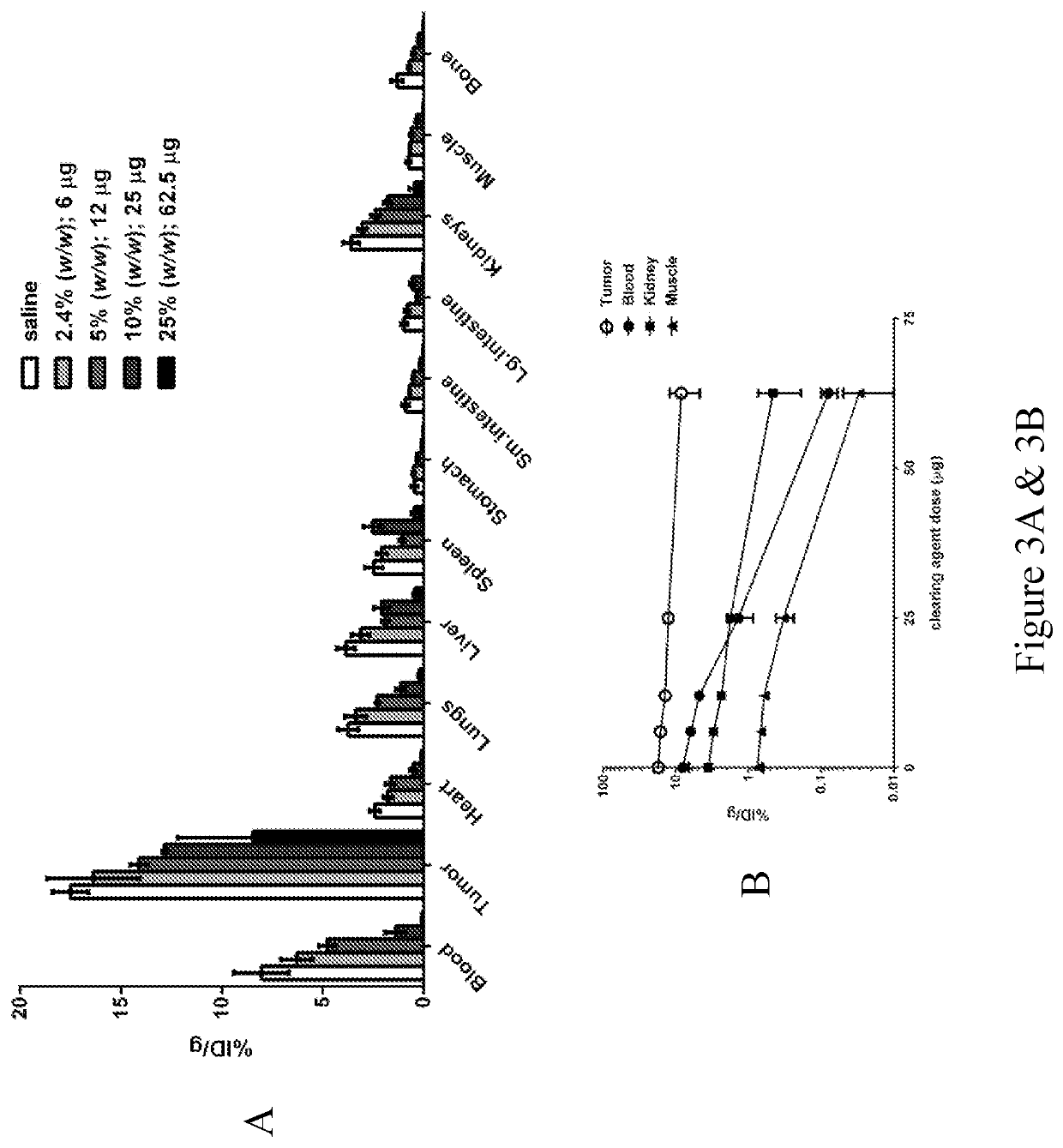 Multi-specific antibodies with affinity for human a33 antigen and dota metal complex and uses thereof