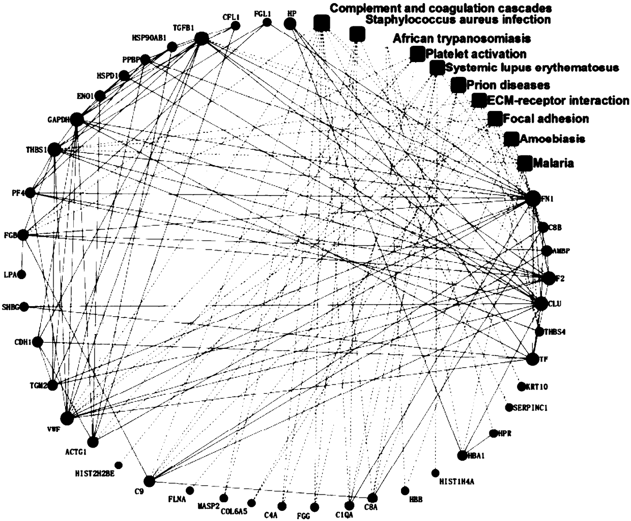 Application of multi-protein composition and congenital heart disease screening kit